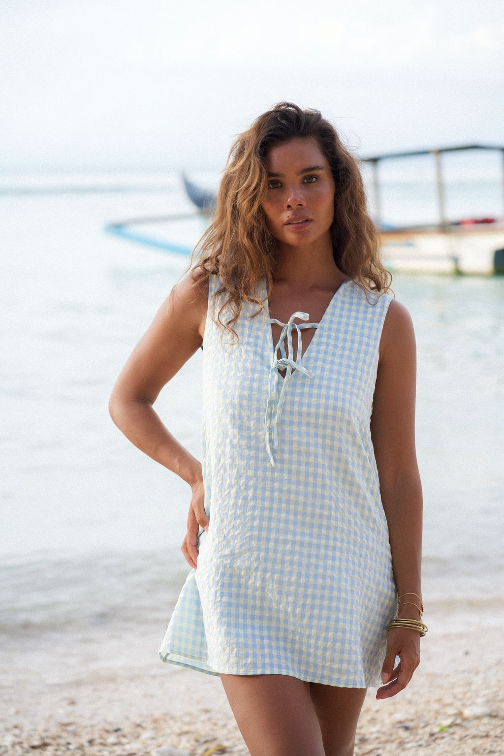Blue Gingham Swing