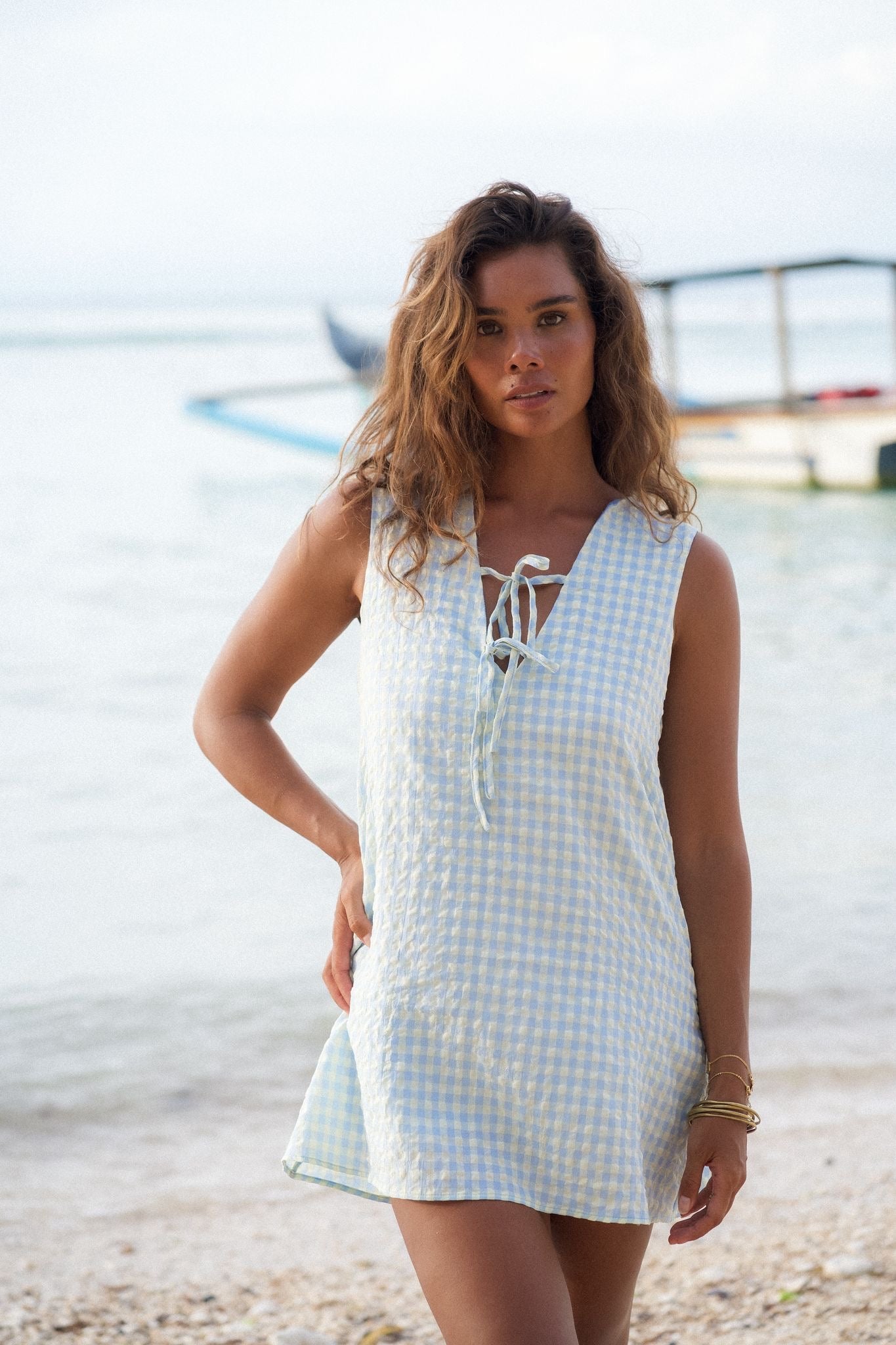 Blue Gingham Swing